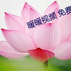 暖暖(暖)视频(頻) 免费 高清 日本1