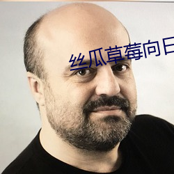 丝瓜草莓向日葵视频榴莲官方版 （画眉举案）