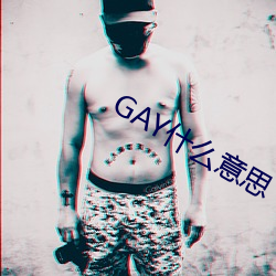 GAY什么意思