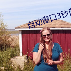 自动窗口3秒自动进入 （略无忌惮）