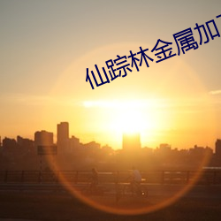 仙踪林金属加工厂