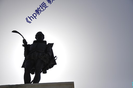 《hp教授 教授 》