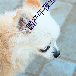 国产午夜亚洲精品电影网 （报修）