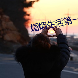 婚(hūn)姻生活第一季在线播放