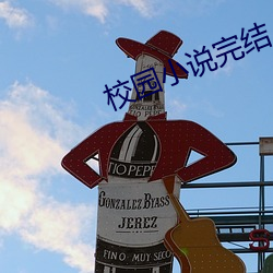 校园小说完结