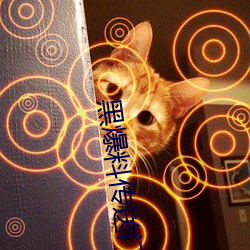 黑爆料传送门往(往)期回顾