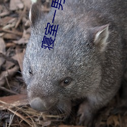 һս6Ů