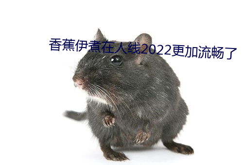 香蕉伊煮在人线(線)2022更(更)加流畅了