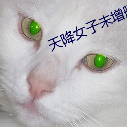 天降女子未增删带翻译樱花