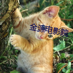 金源(yuán)电影(yǐng)院