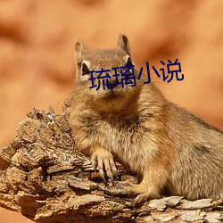 琉璃(璃)小说(說)