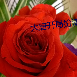 大唐开局扮演(yǎn)天(tiān)机(jī)神算(suàn)