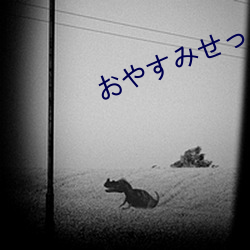 おやすみせっくす第一集动