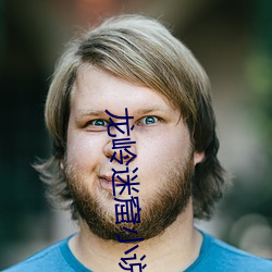 龙(龍)岭迷窟(窟)小说