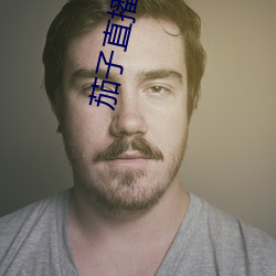 茄子(zi)直播下载