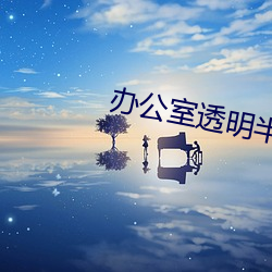 办公室透明半身裙套装