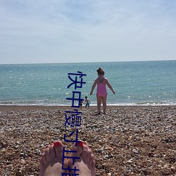 快中慢寸止指令挑戰視頻