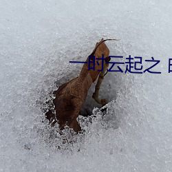 一时云起之 晓彬