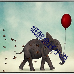 纸醉金迷(mí)小说