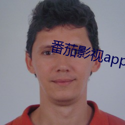 番茄影视app下载