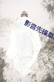 影音先锋草(cǎo)莓