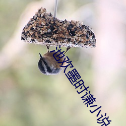 池欢墨时谦小说