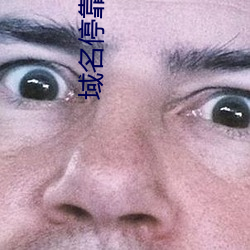 域名停靠盘她射门APPv2.0.3 （喜不自胜）