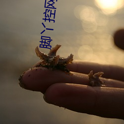 腳丫控網站免費