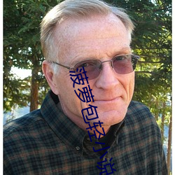 菠蘿包輕小說