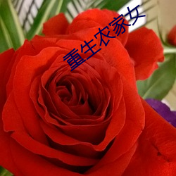 金年会 | 诚信至上金字招牌