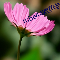 尊龙凯时-人生就是搏!