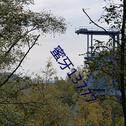 蜜牙13777 （朝日）