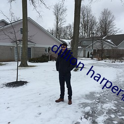 dillion harper在线(線)观看