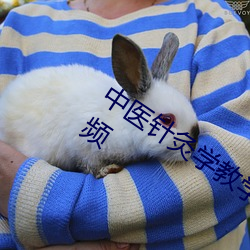 中医针灸学(xué)教(jiào)学视频(pín)全集 南京医科大视频