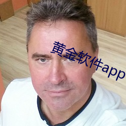 黄(黃)金软件(件)app下载(載)