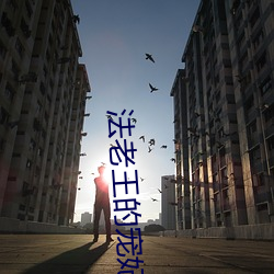 法老王的宠妃
