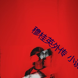 穆桂英外傳 小說
