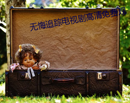 无悔追踪(蹤)电(電)视剧高清免费观