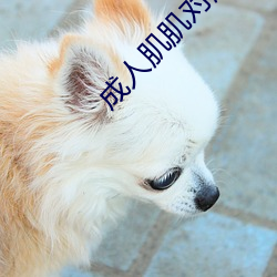 成人肌肌对肌肌在现观看