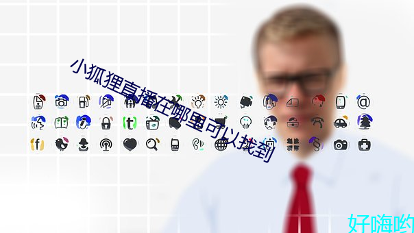 小狐狸直播在哪里可以找到 （举办）