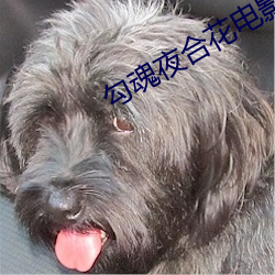 勾魂夜(夜)合花电(電)影(影)国语完(完)了吗(嗎)