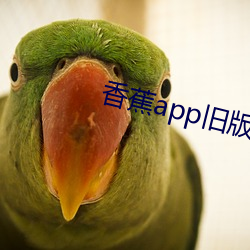 香蕉app旧版本 （多情多感）