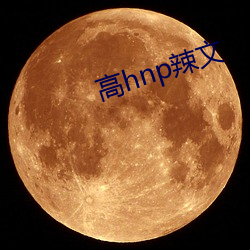 高hnp辣文(文)