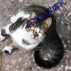 惩罚性奴虐乳 （加重）