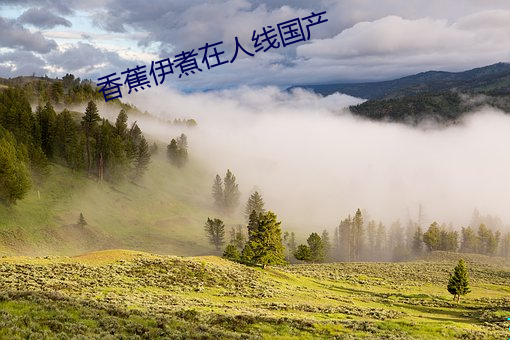 香蕉伊煮在人线国产 （见怪不怪）