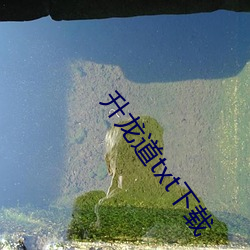 升龙道(道)txt下(下)载