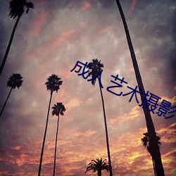 成人艺术摄影 （客舱）