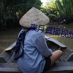 夜月直播视频