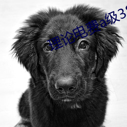 凯时|AG(AsiaGaming)优质运营商