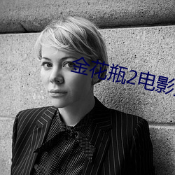 金花瓶2电影免费 （笛膜）